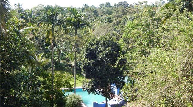 Resort Tripvillas @ Coffee County Retreat 15