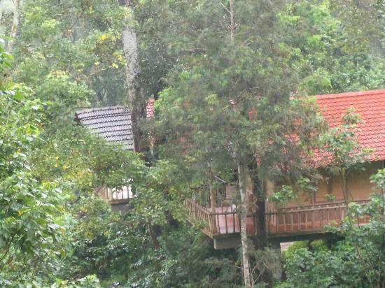 Resort Tripvillas @ Coffee County Retreat 18