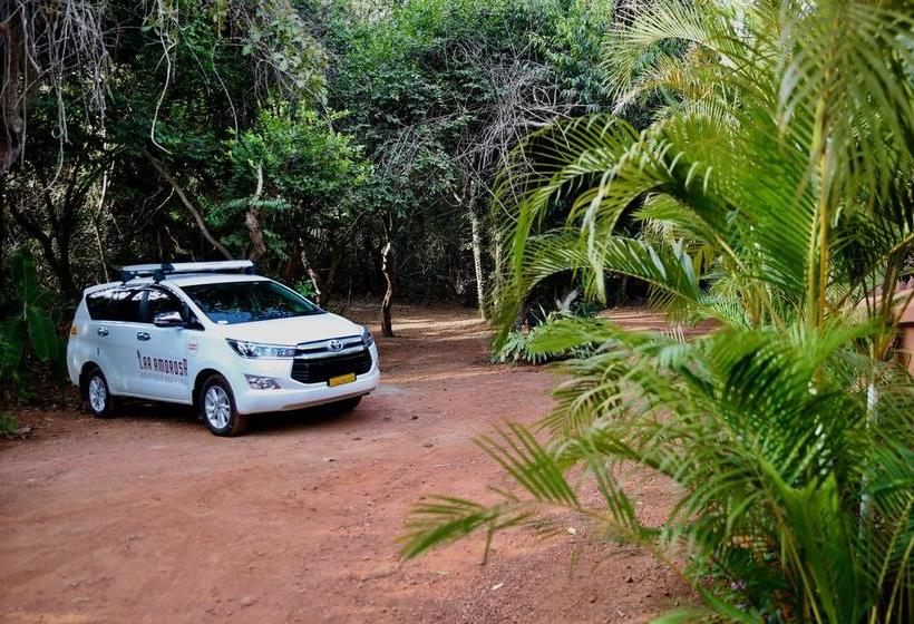 Bed and Breakfast Lar Amorosa 11