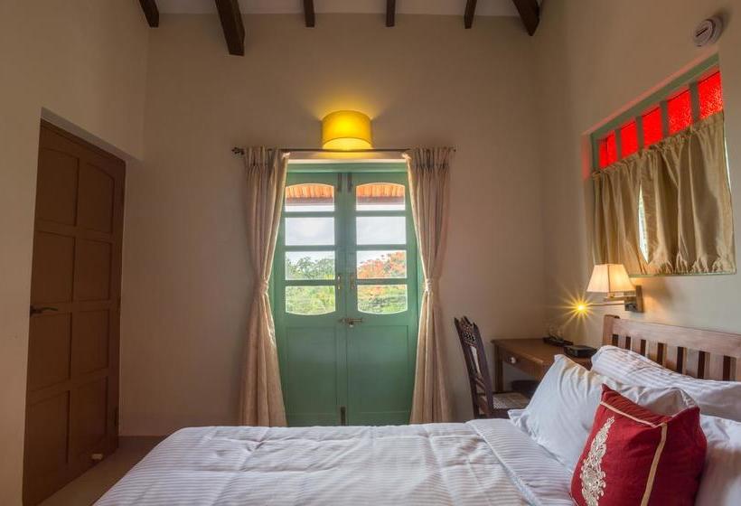 Bed and Breakfast Lar Amorosa 17