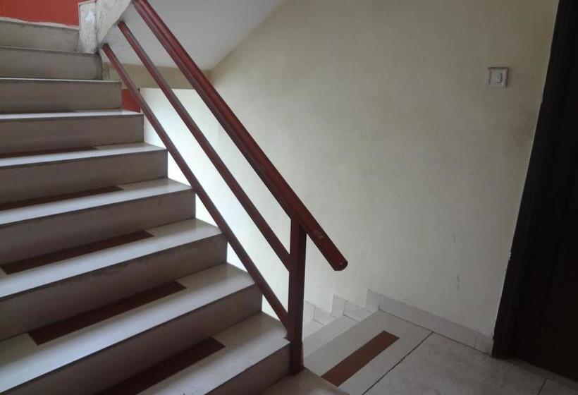 Hotel Ahvana Rangolii Inn 13