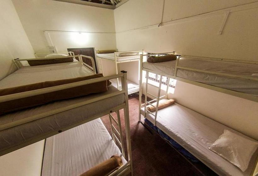 Happy Panda Hostel 11