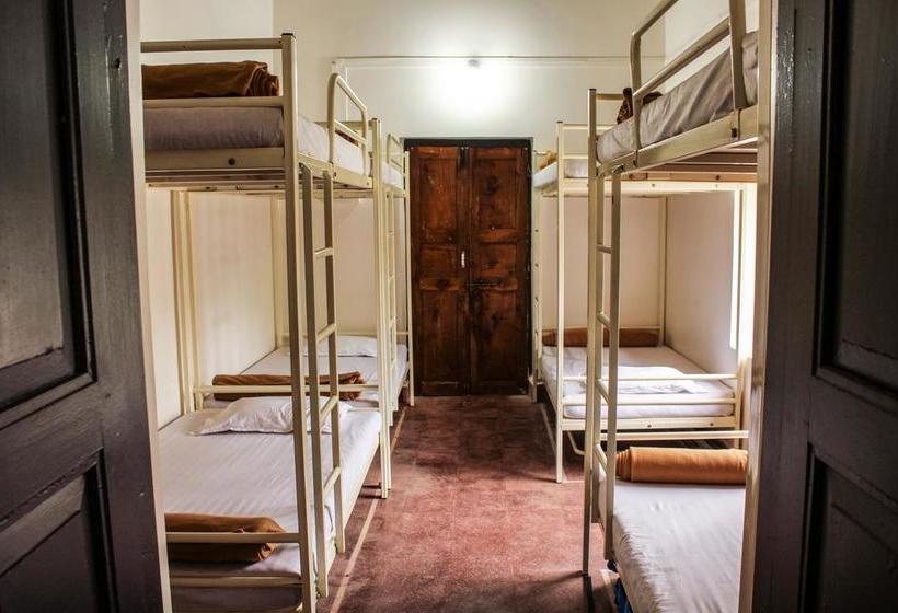 Happy Panda Hostel 12