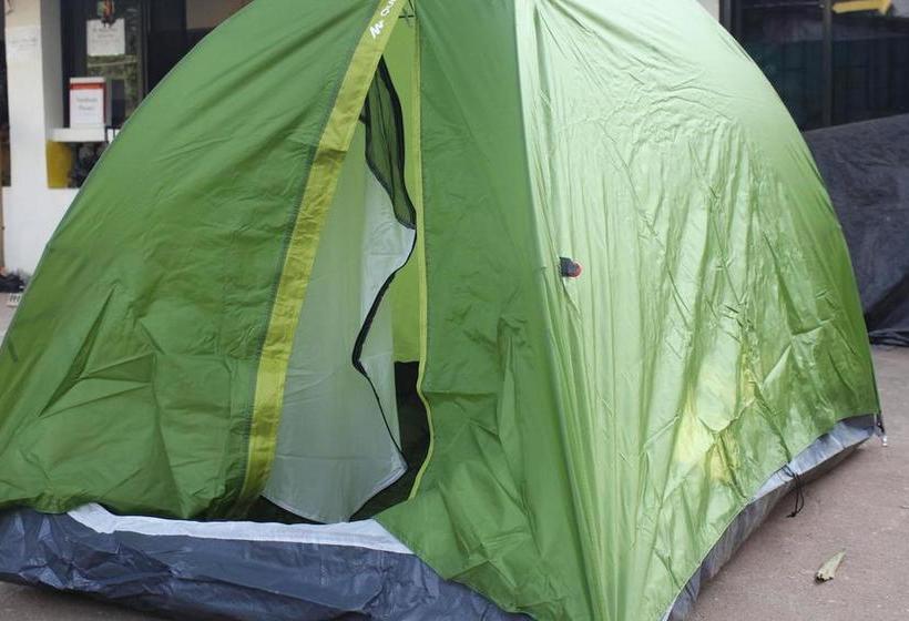 Happy Panda Hostel 17