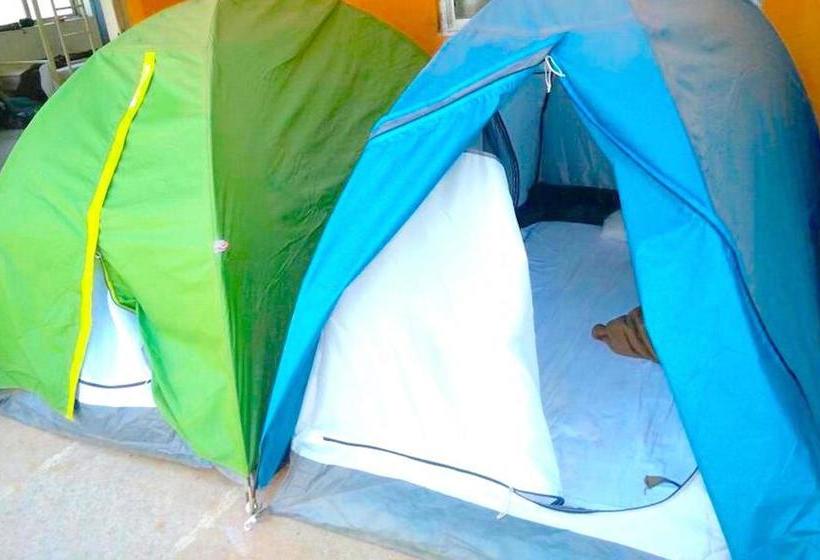 Happy Panda Hostel 18