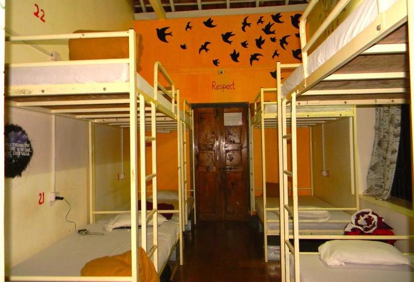 Happy Panda Hostel 3