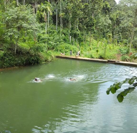 Canary Woods Hotels 5