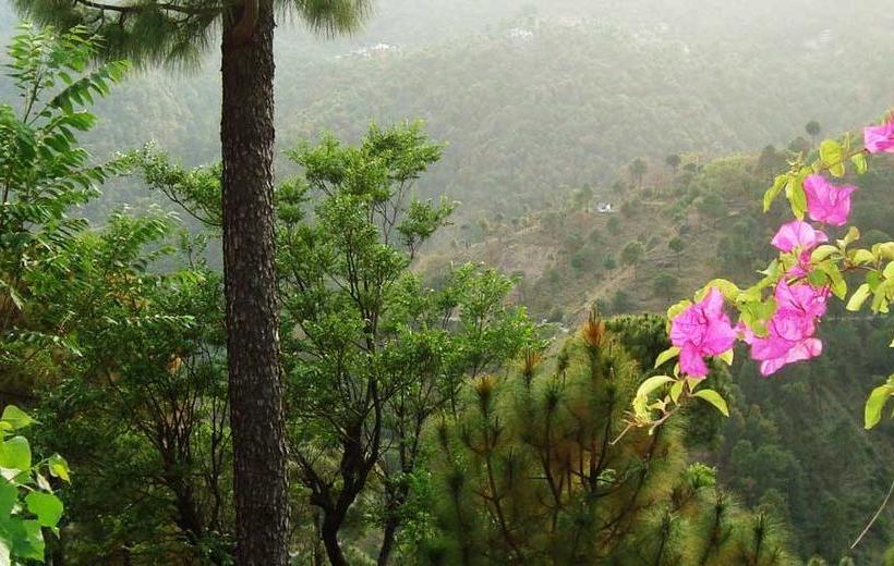 Hotel Rudra Resort 11