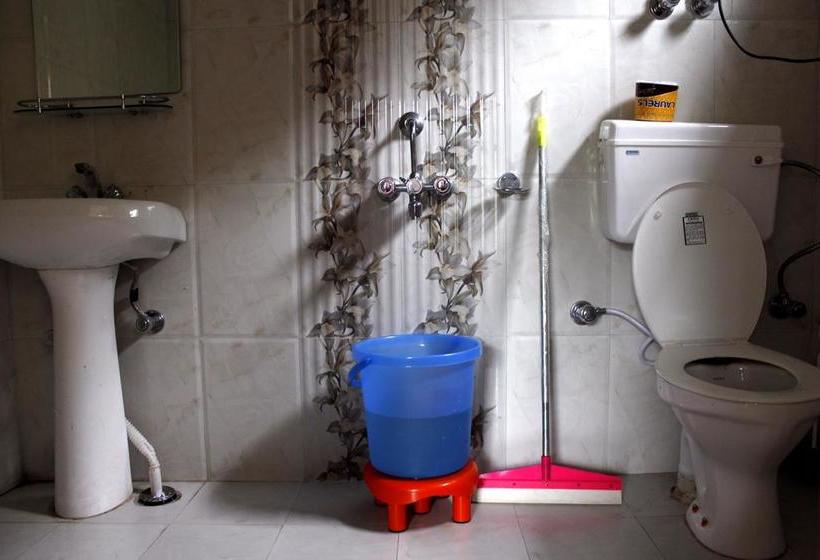 Born Free Hostel Manali Himachal Pradesh