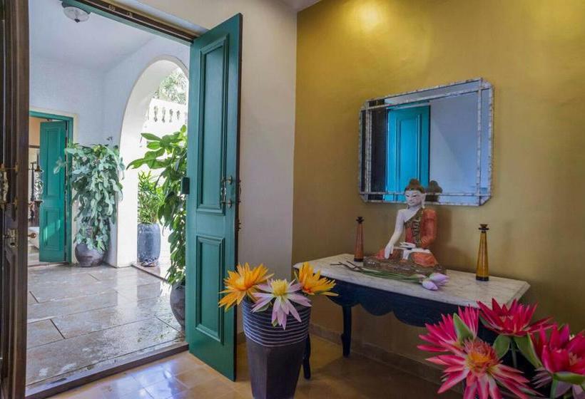 Bed and Breakfast Kokum Tree 2