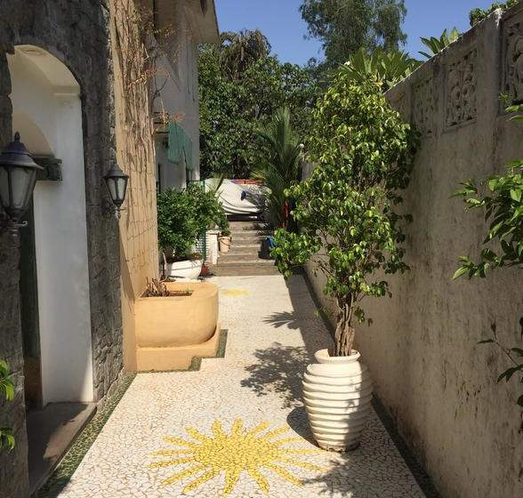 Bed and Breakfast Kokum Tree 9