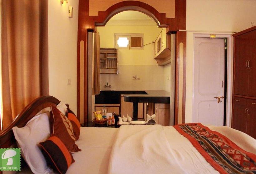 Hotel Whitemushroomkasauli 16