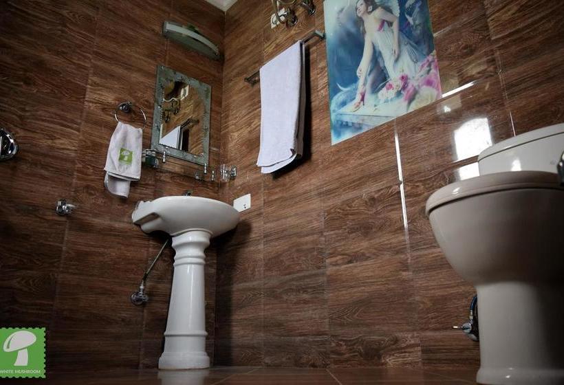 Hotel Whitemushroomkasauli 17