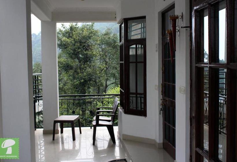 Hotel Whitemushroomkasauli 5