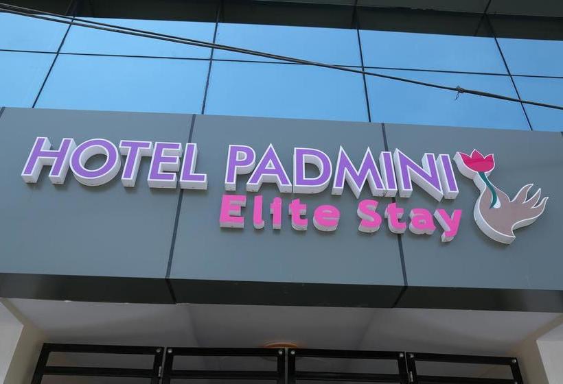 Hotel Padmini 1