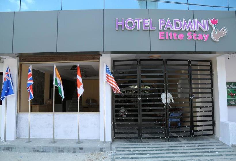 Hotel Padmini 2