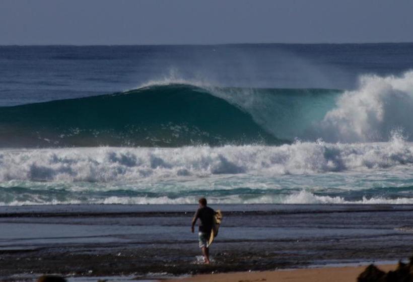 Lotus House Bed And Breakfast 10