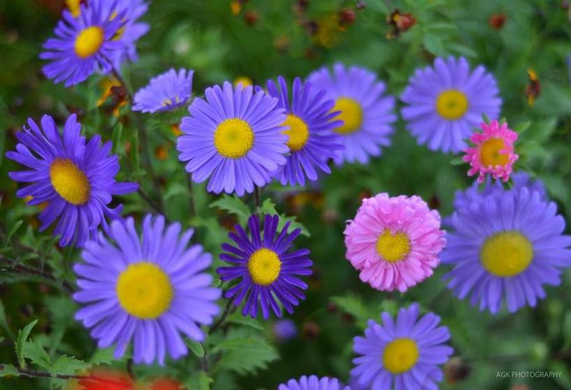 Resort Sand Dunes View Guest House 13