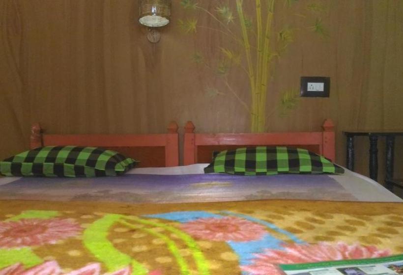 Albergue Jungleparadiso