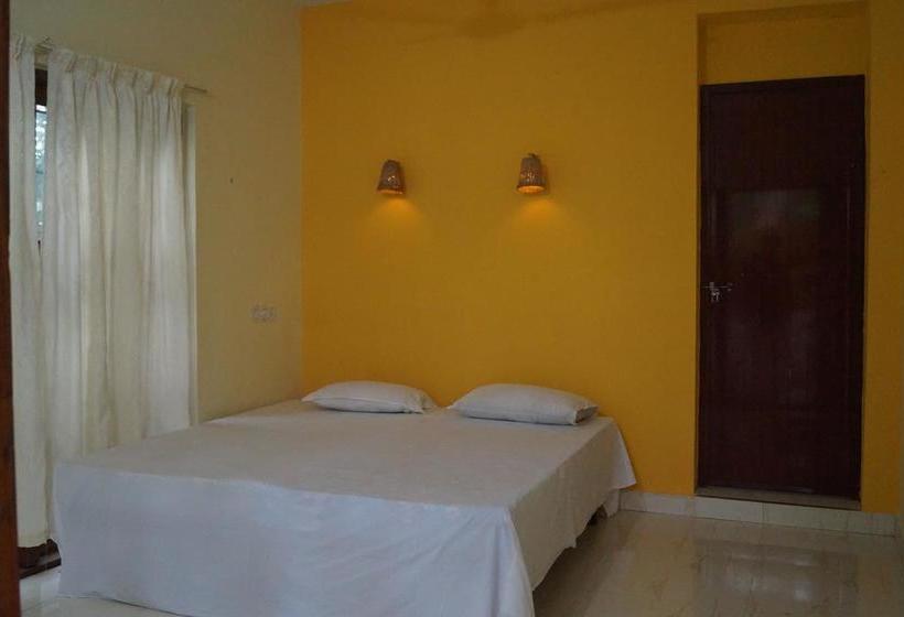 Hostel Jungleparadiso 11