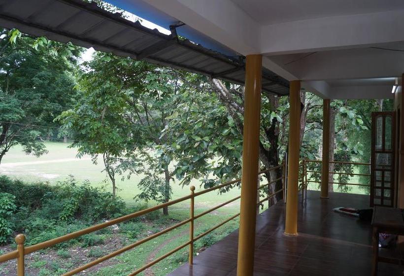 Hostel Jungleparadiso 14