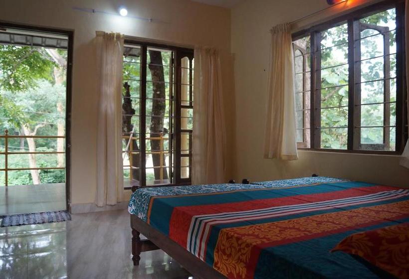 Hostel Jungleparadiso 16