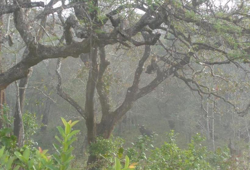 Hostel Jungleparadiso 17