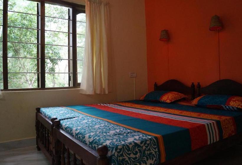 Hostel Jungleparadiso 18