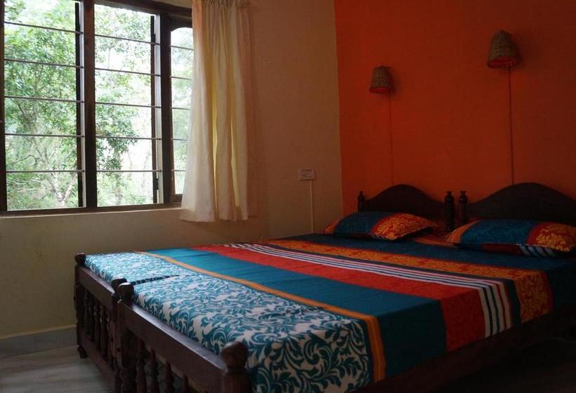 Hostel Jungleparadiso 19