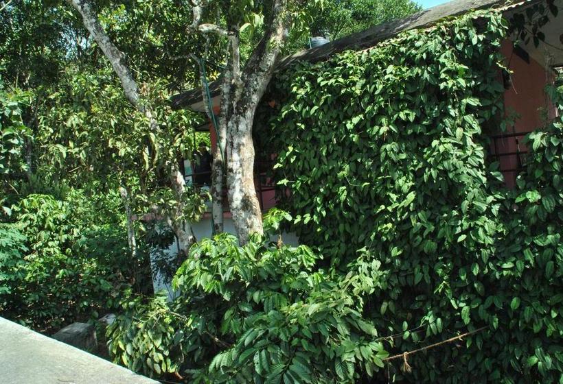 Hostel Jungleparadiso 20