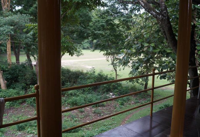 Hostel Jungleparadiso 7