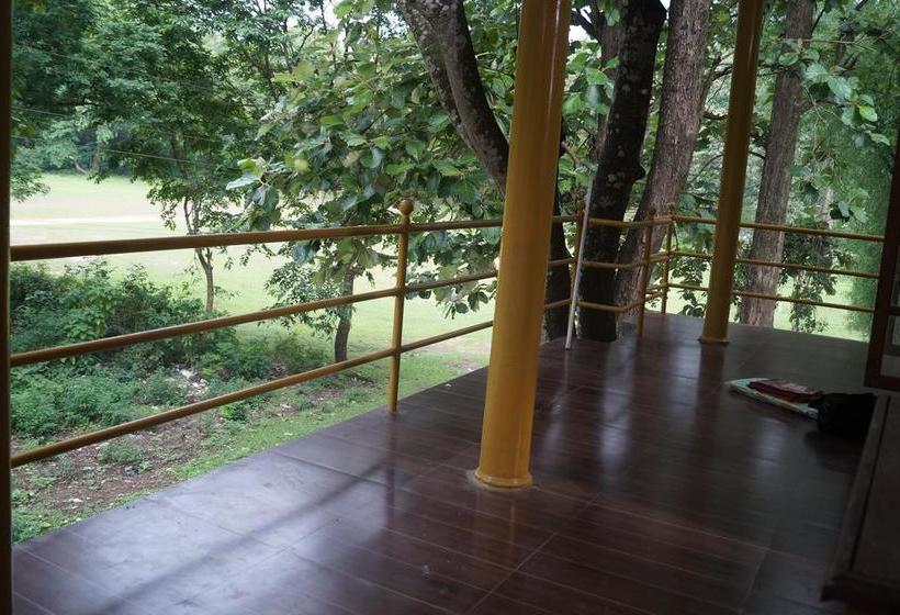 Hostel Jungleparadiso 8