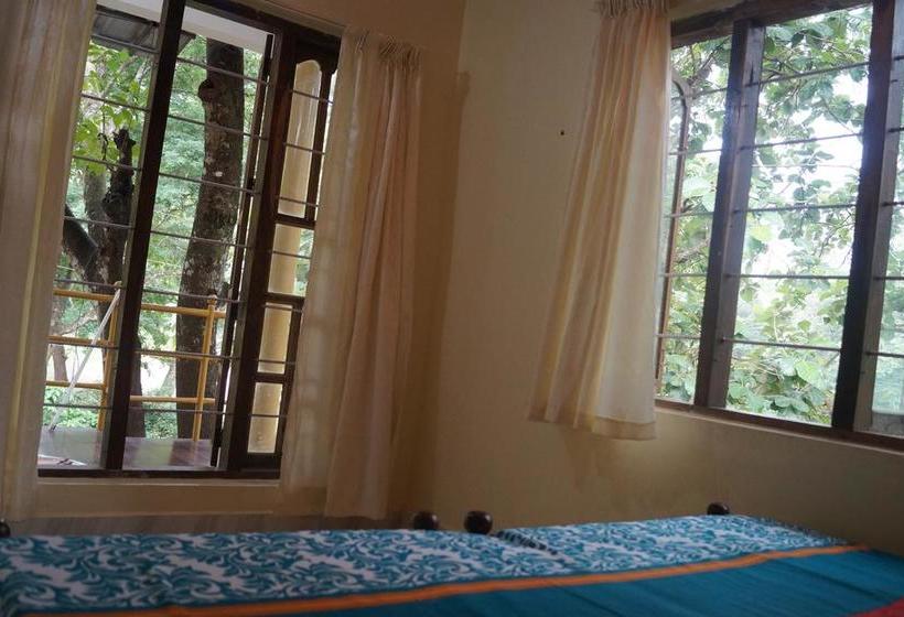 Hostel Jungleparadiso 9