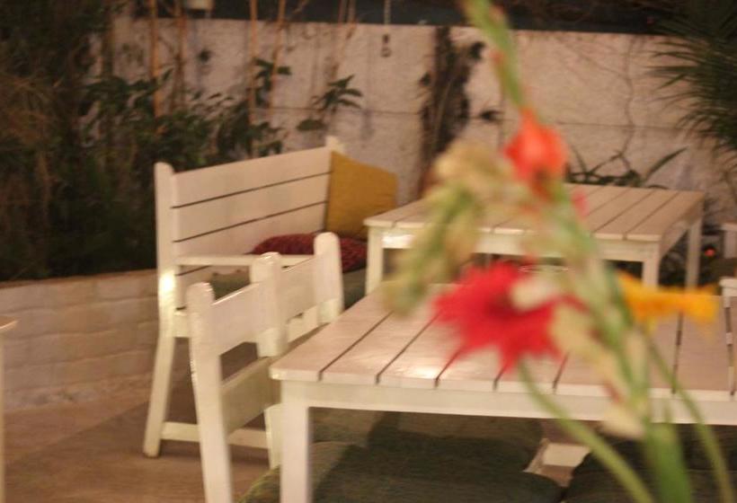 Bed and Breakfast Yogisthaan 12