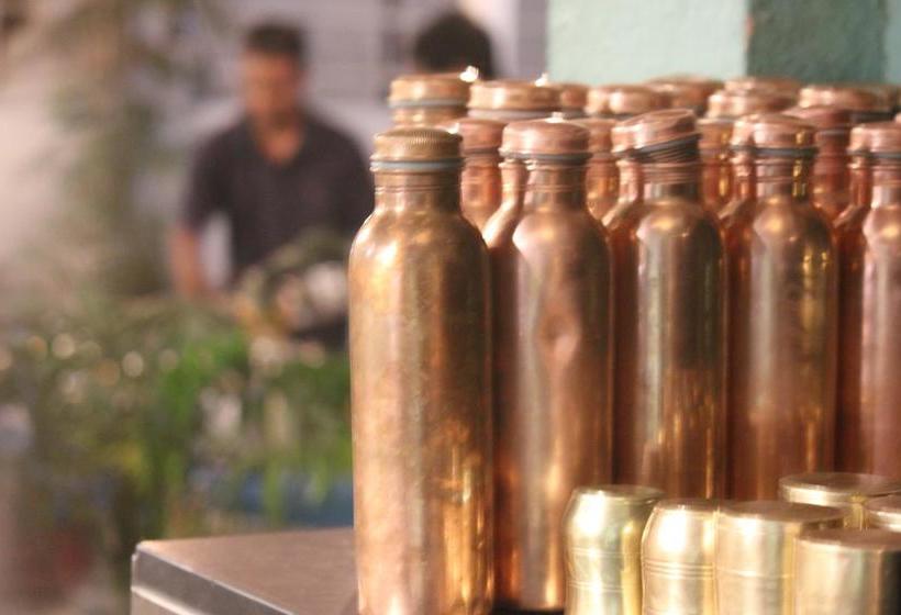 Bed and Breakfast Yogisthaan 14