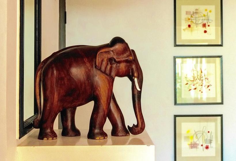 Hotel Petit Elephant 1