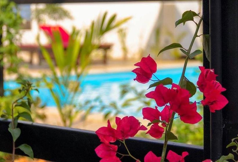 Hotel Petit Elephant 5