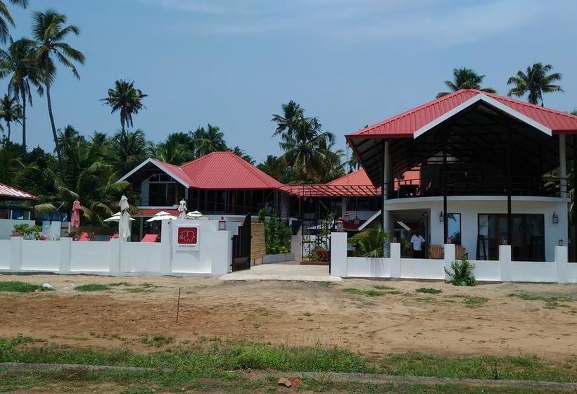 Hotel Petit Elephant 6