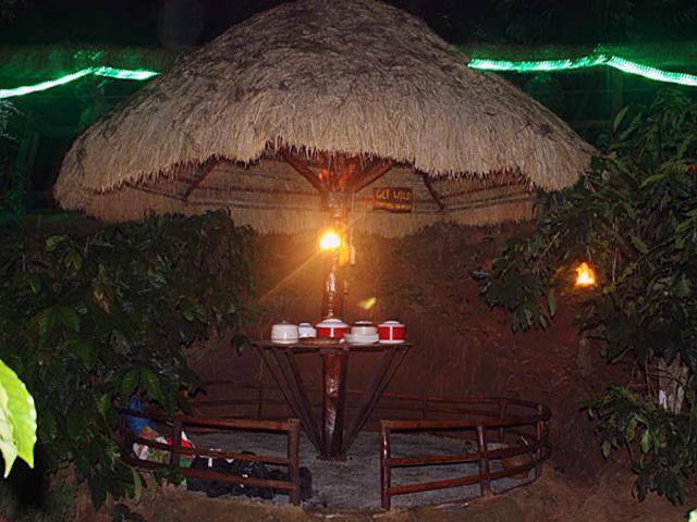 Resort Evergreen County Coorg 10