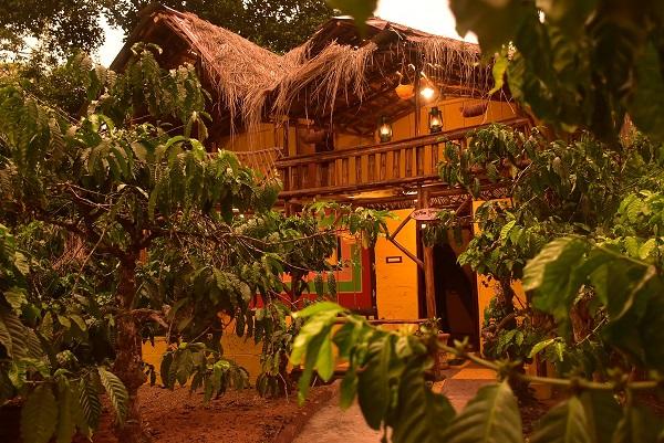 Resort Evergreen County Coorg 12