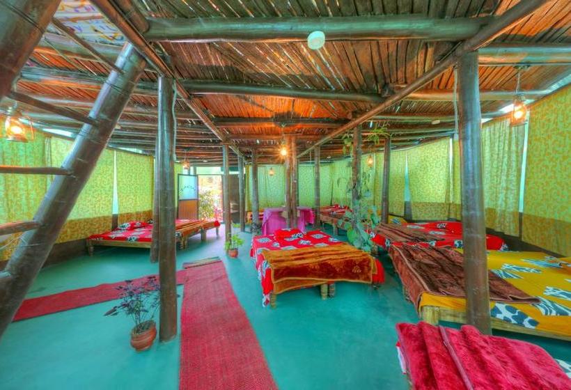 Resort Evergreen County Coorg 2