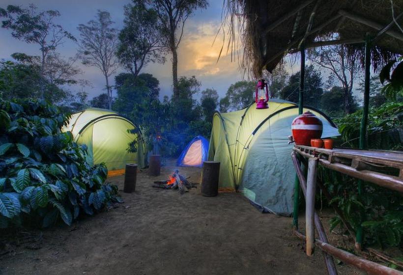 Resort Evergreen County Coorg 5