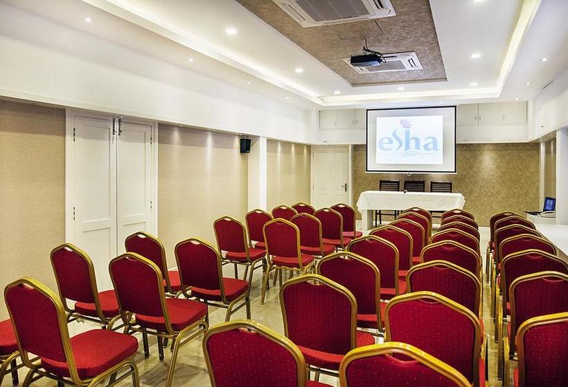 Hotel Esha Heritage Inn 9