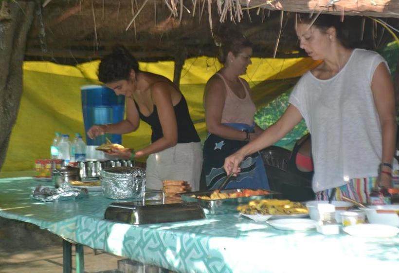 Resort Eco Wild Camps Rajaji Uttar Pradesh