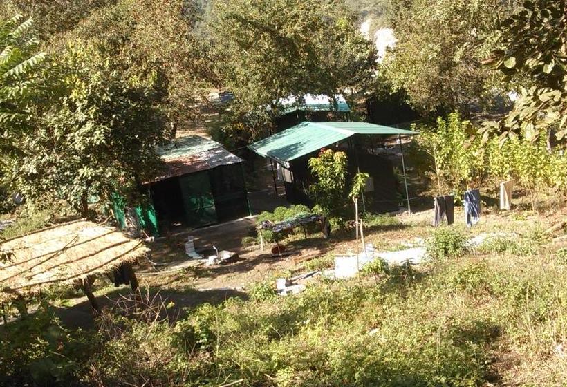 Resort Eco Wild Camps Rajaji 1