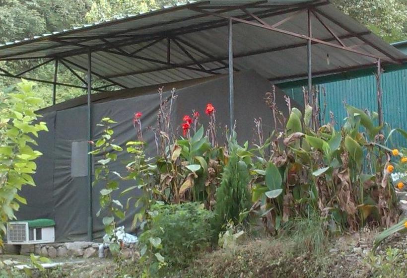 Resort Eco Wild Camps Rajaji 5