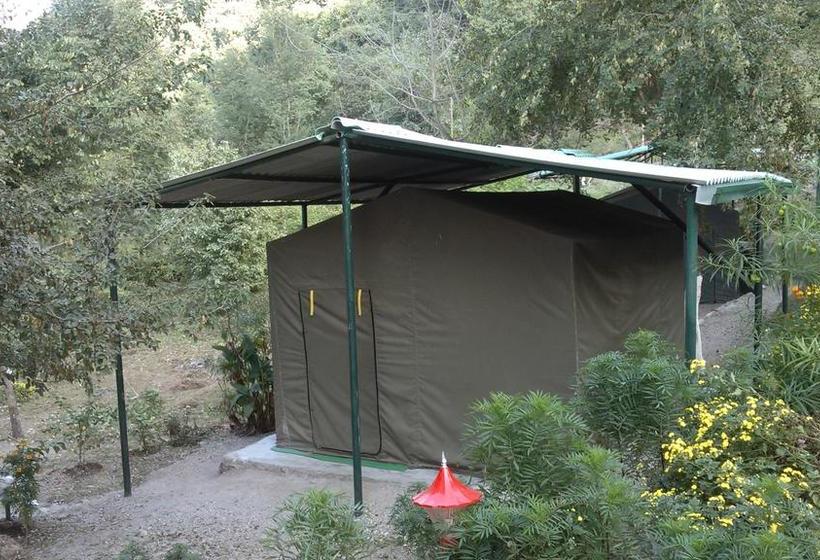 Resort Eco Wild Camps Rajaji 6