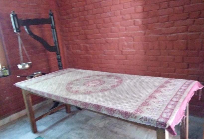 Bed and Breakfast Swami Samarpan Ashram 16