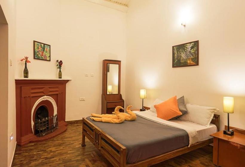 Hostel Zostel Ooty 13