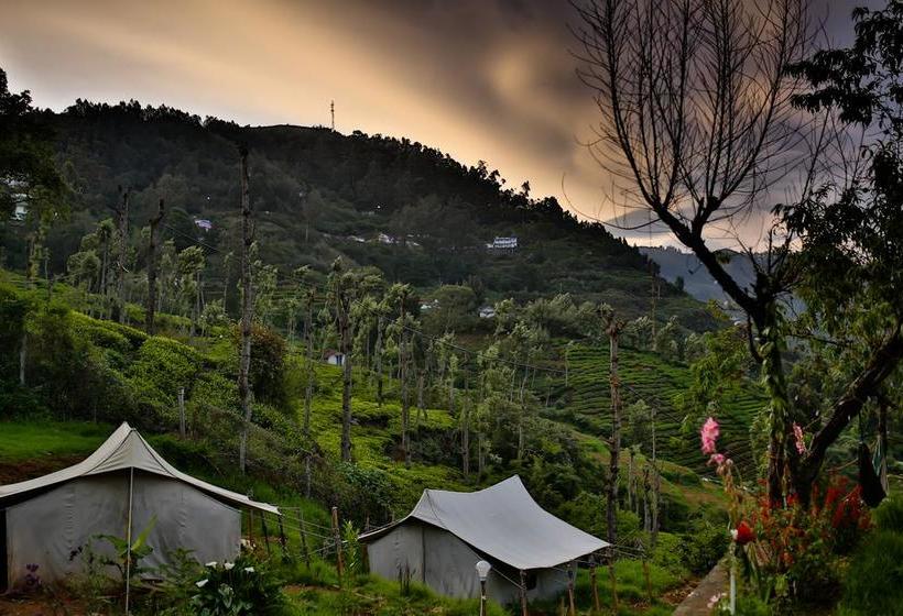 Hostel Zostel Ooty 16